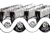 pile weave fabric types